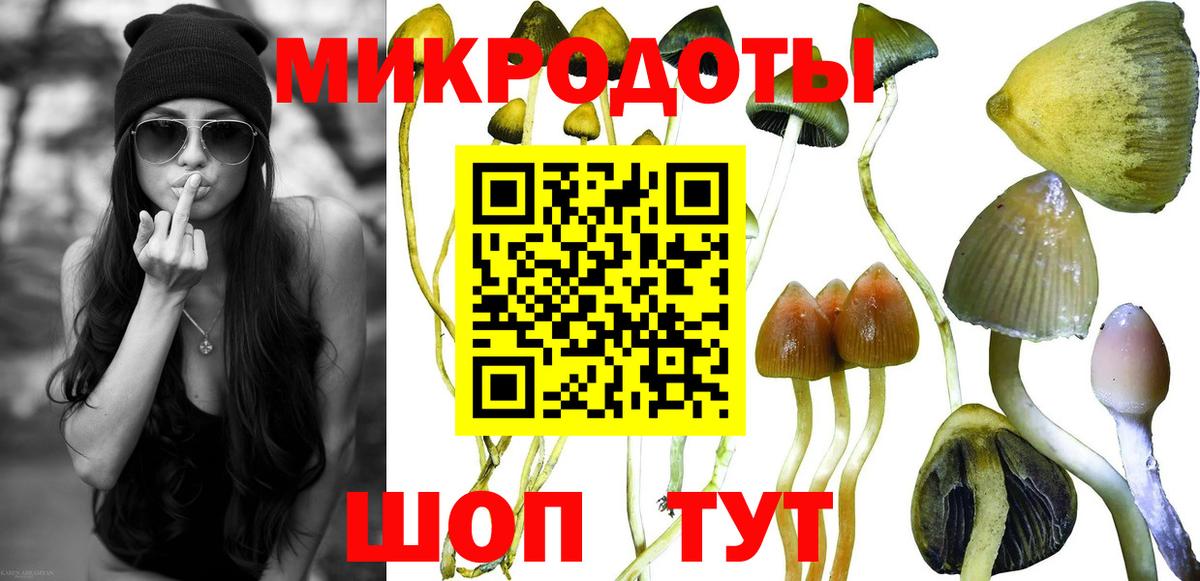 Строитель  А ПВП СК кристаллы  Каннабис  Вход с VPN  ГАШ  Меф  