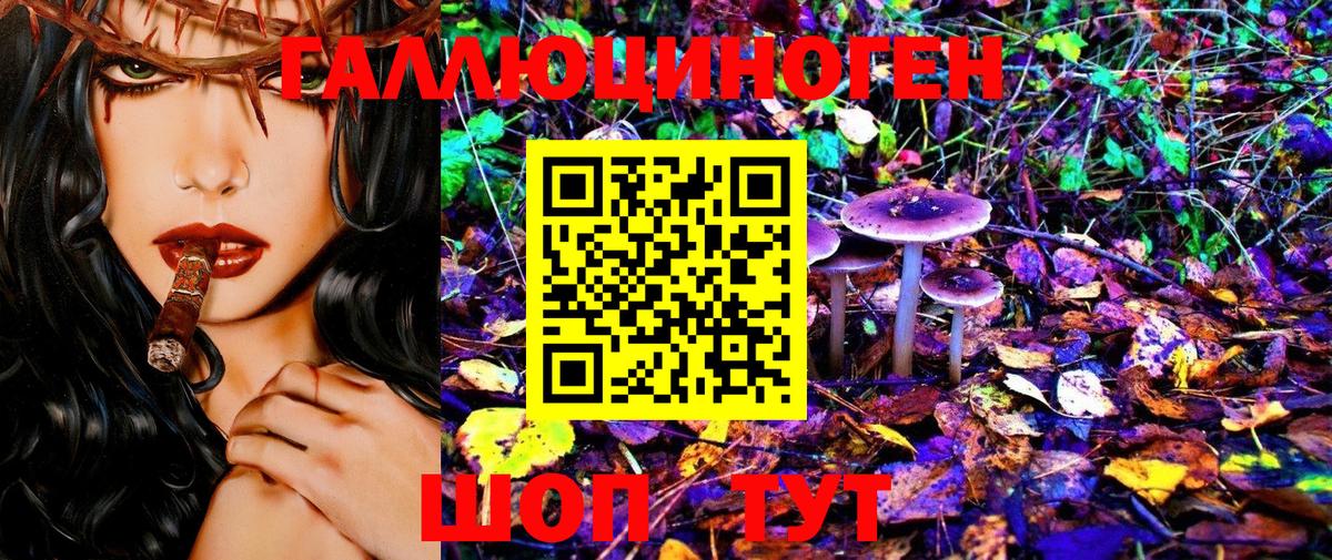 Галлюциногенные грибы MAGIC MUSHROOMS Строитель