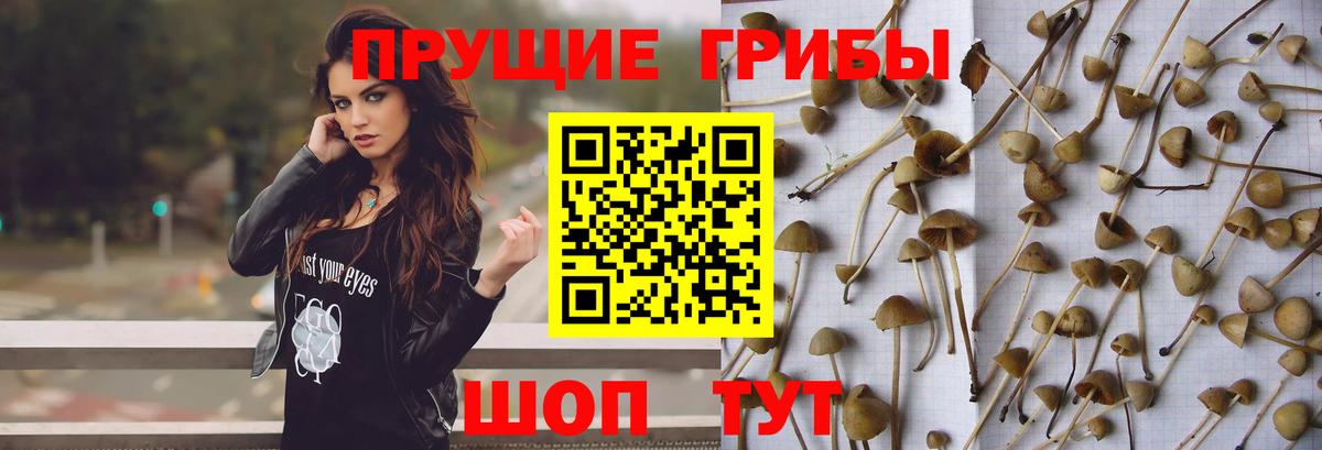 Строитель  закладка  Вход с VPN  Псилоцибиновые грибы ЛСД 